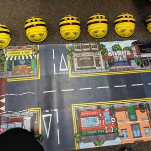 Image BeeBot1