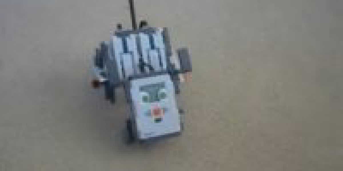 NXT Puppy Dog – Damien Kee